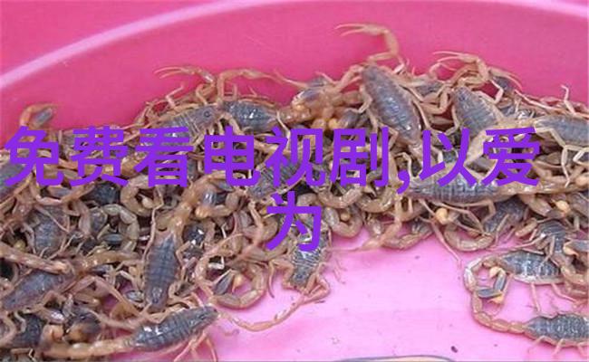 奥莉杨阳洋合影留念 两任呆萌教主分外惹眼