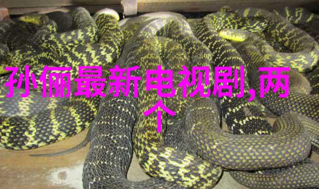 中央电视台科教频道地理中国栏目组走进青海
