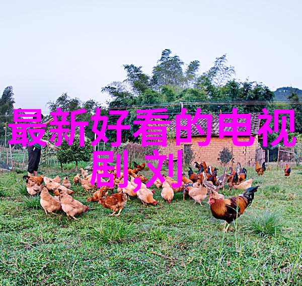 陈明助阵中国梦想秀 坦言自己也是追梦人